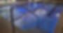 Screenshot_20230403_113649_Gallery.jpg